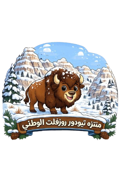 الثيران في حديقة ثيودور روزفلت الوطنية في الشتاء